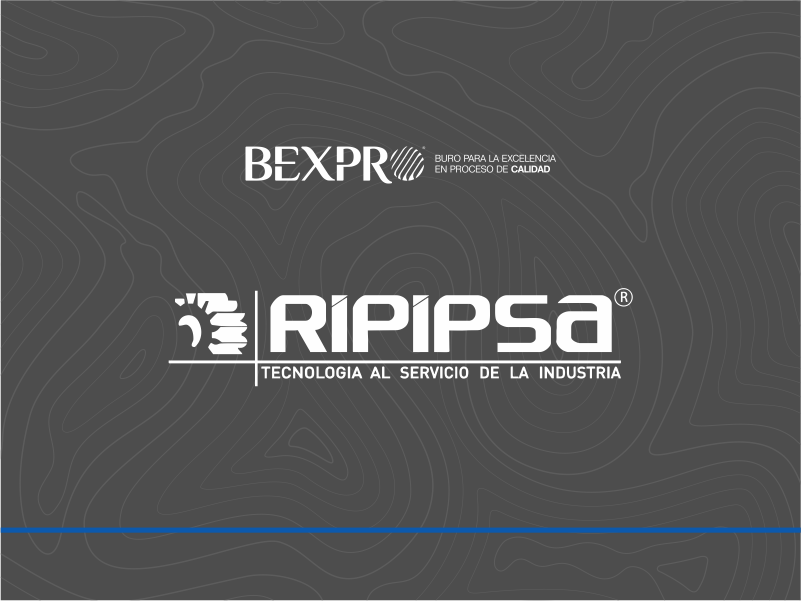 Capacitación exitosa, RIPIPSA 